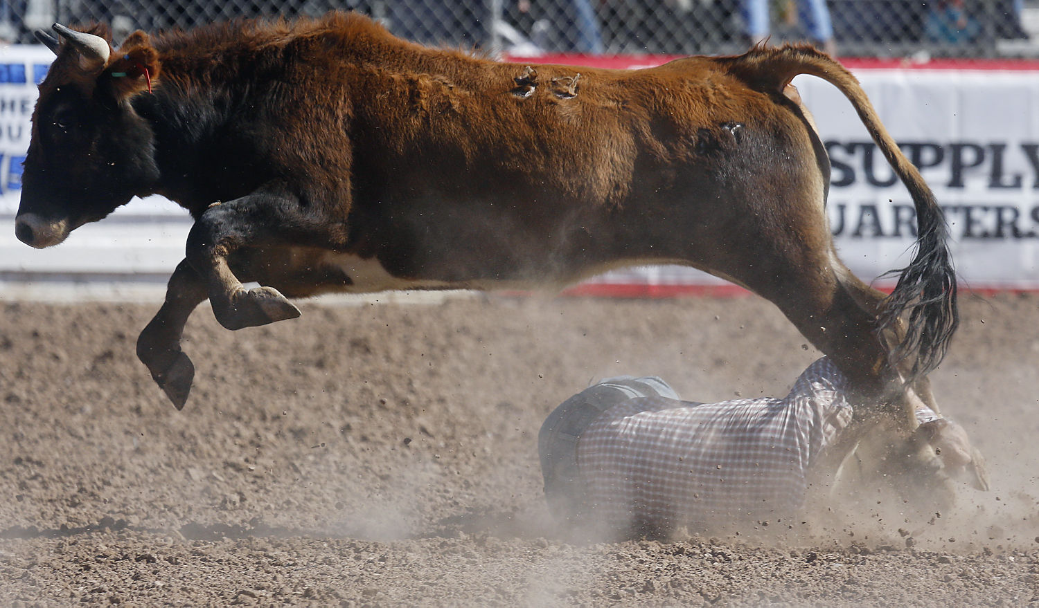 La Fiesta de los Vaqueros